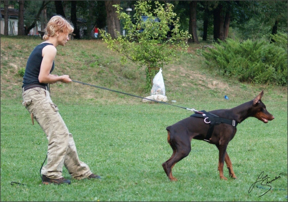 Summer training camp - Jelenec - 2007